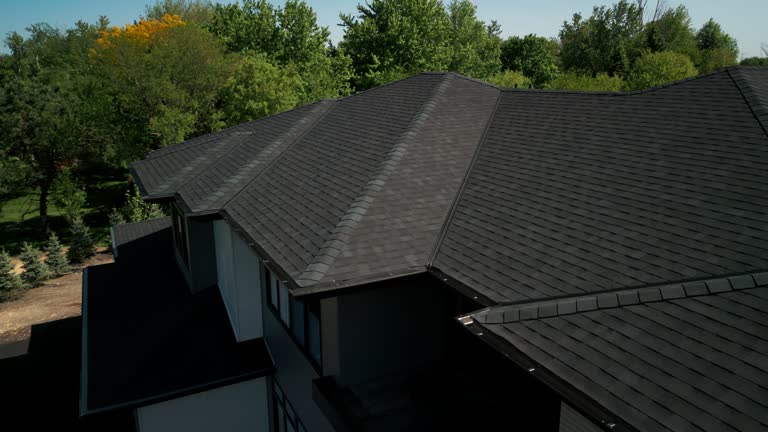 Trusted Rayne, LA Roofing service Experts